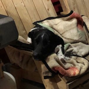 Meet your Posher, Cheryl